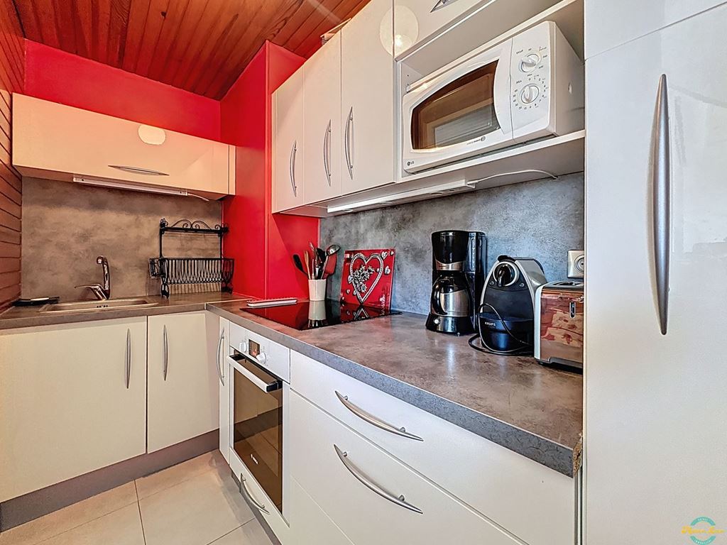 Appartement T2 LES CARROZ D'ARACHES (74300) Maison LEON